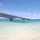 Sachi_1101 Sachi_1101