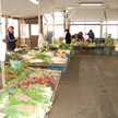 鎌倉野菜で簡単男料理
