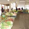 鎌倉野菜で簡単男料理
