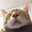 窓際の猫