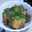 greendrum