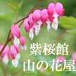 山菜レシピ集★紫桜館