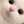 えらこちゃん
