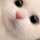 えらこちゃん