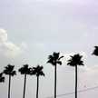 alohafork