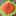 sunflowerママ sunflowerママ