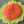 sunflowerママ