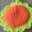 sunflowerママ