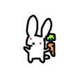 なつ夏みかん