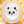ローズマリー通信