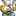 AceK_meshi AceK_meshi