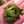 マミダス