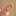 Lamplight Lamplight