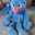 grover1