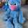 grover1
