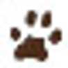 choco_3