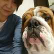 bulldogママ