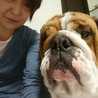 bulldogママ
