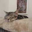maringo☆