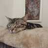 maringo☆