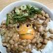 チビよし
