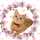 あふぽら afpora あふぽら afpora