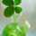clovertomo