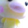にんにく菊ちゃん