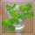 四つ葉のClover 四つ葉のClover