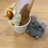 ピポ