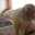 Alice0104