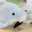 およめまゆごん
