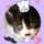 チョビkitchen