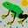 afro_frog