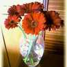 andar