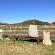 やまこ0317