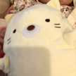 hasuppi