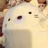 hasuppi