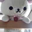 ｋumakuma