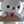 ｋumakuma