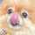 ここなっつ。 ここなっつ。