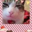 ノンｎｏｎ