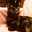 みきねこ