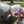 sunela_al