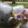 sunela_al sunela_al