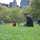 ＠newyork