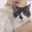seina_