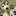 しろうま123 しろうま123