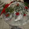 LIMEI1124 LIMEI1124