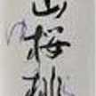 山桜桃